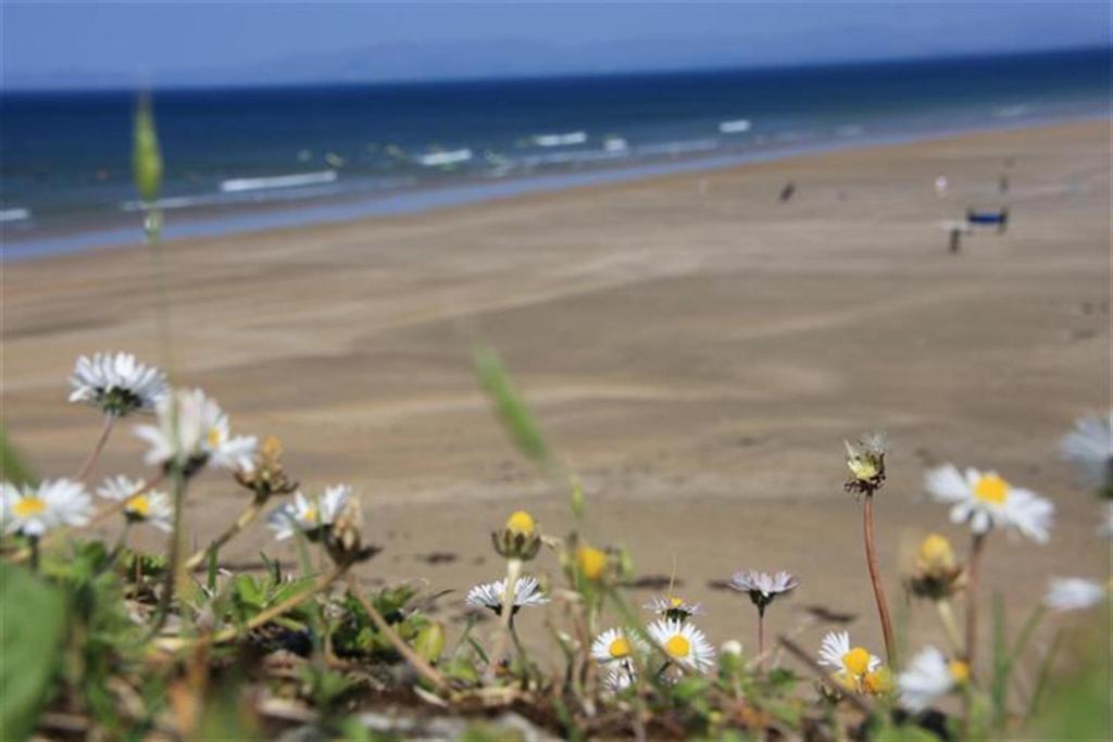 Rougey Lodge Hostel Bundoran Rum bild